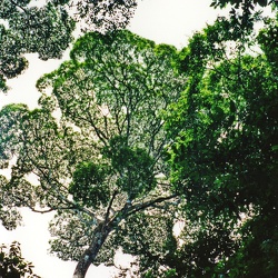 Costa Rica 1991 