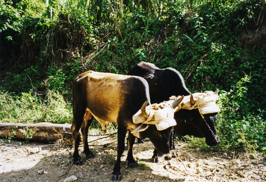 P1040087