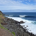 Madeira200902   301 