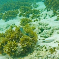 P1000101
