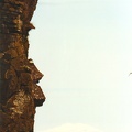 199207Island100