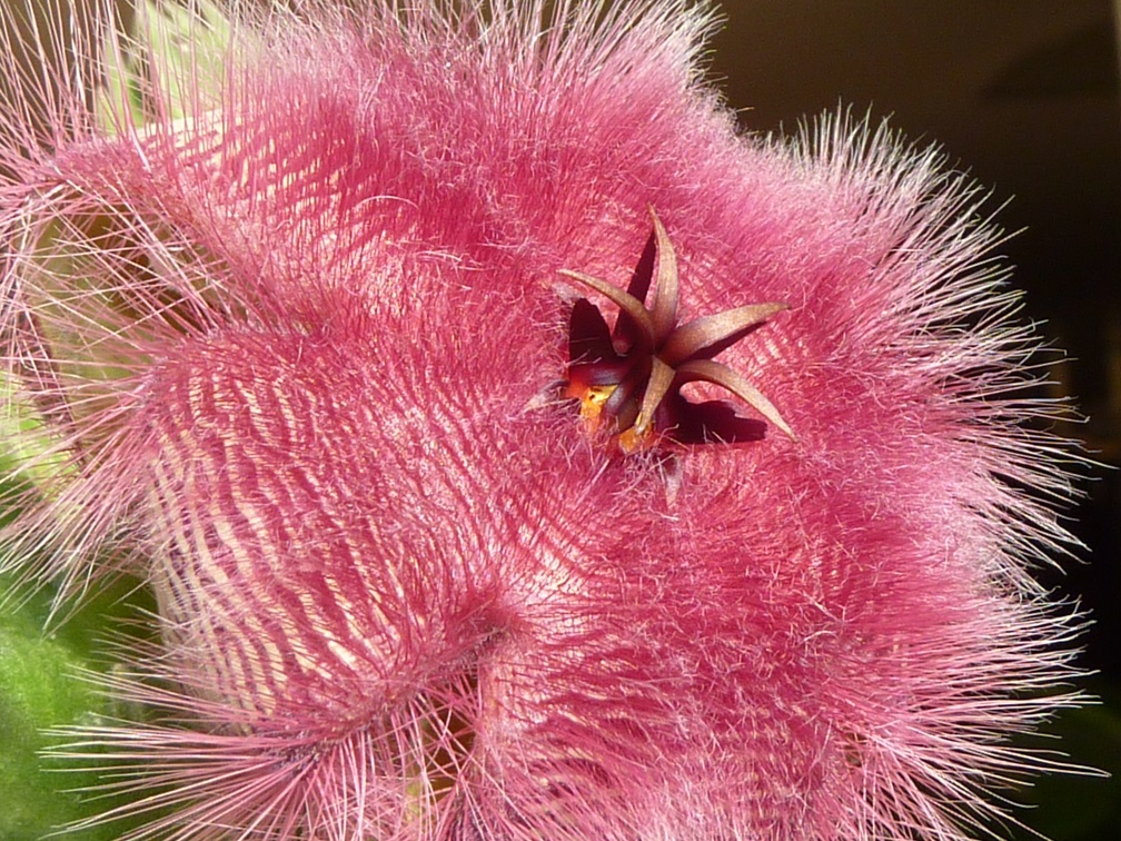 P1040087