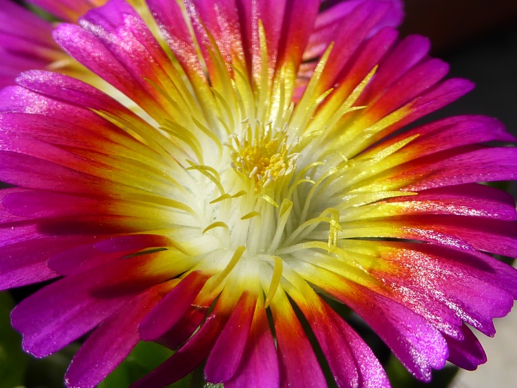 P1040087