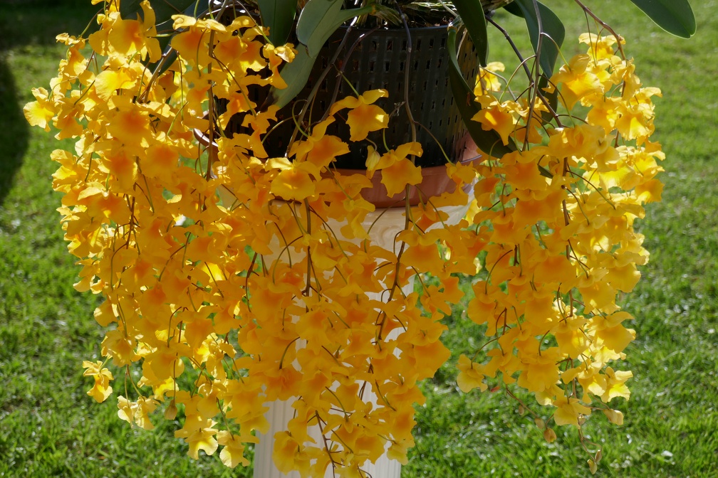 P1040087