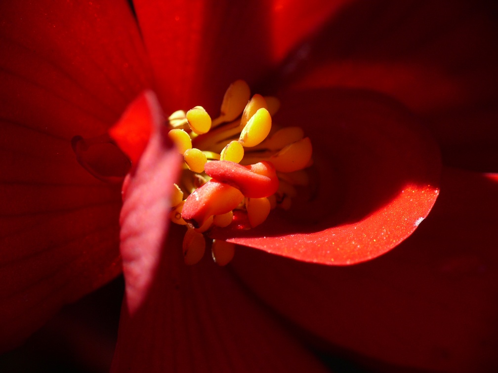 P1040087