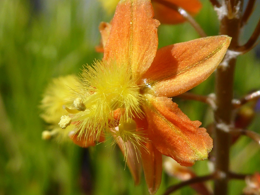 P1040087