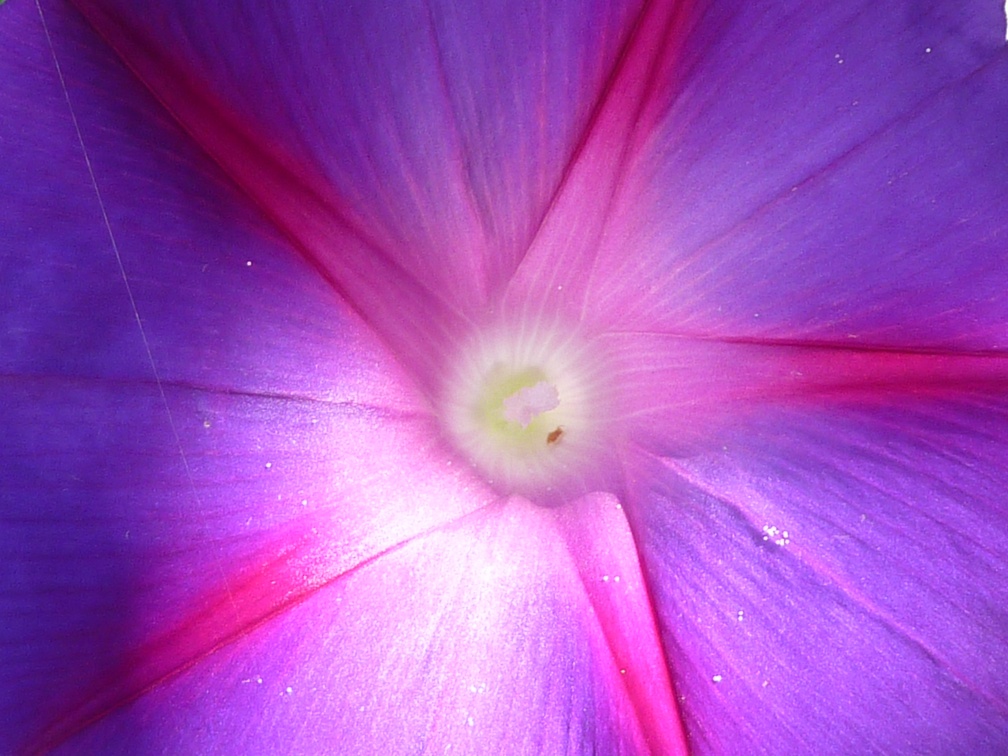 P1040087