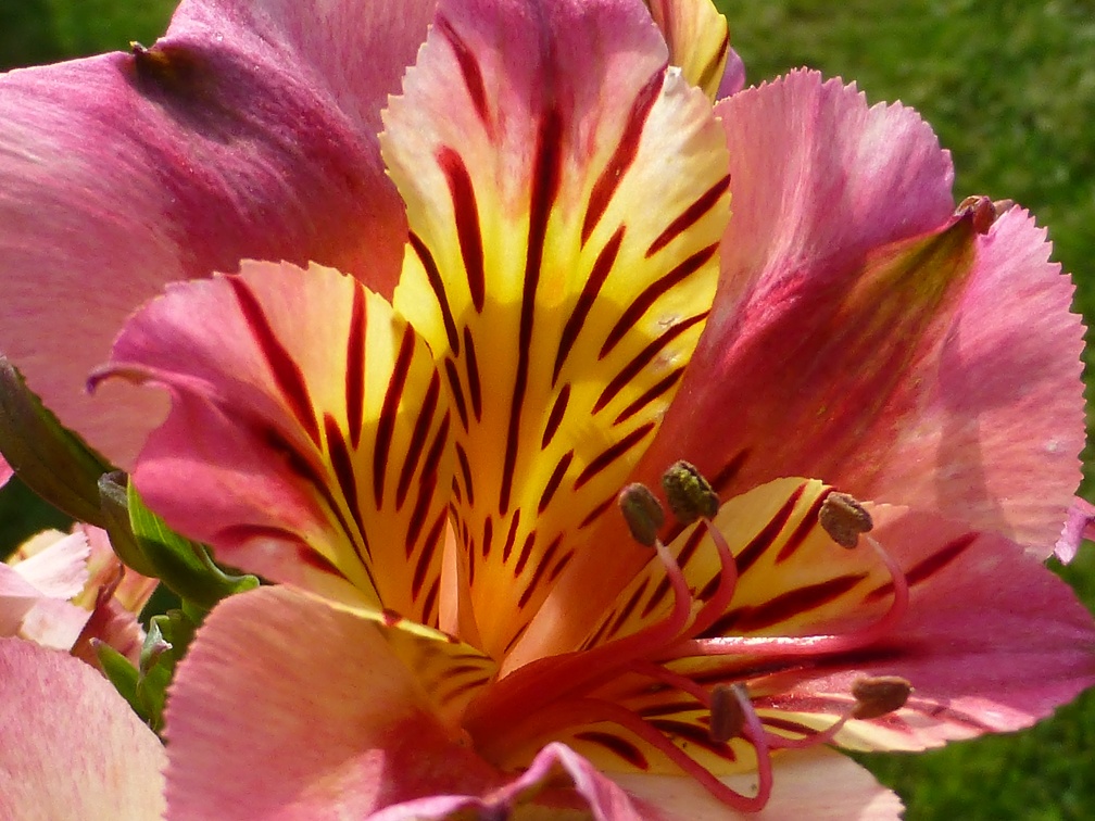 P1040087