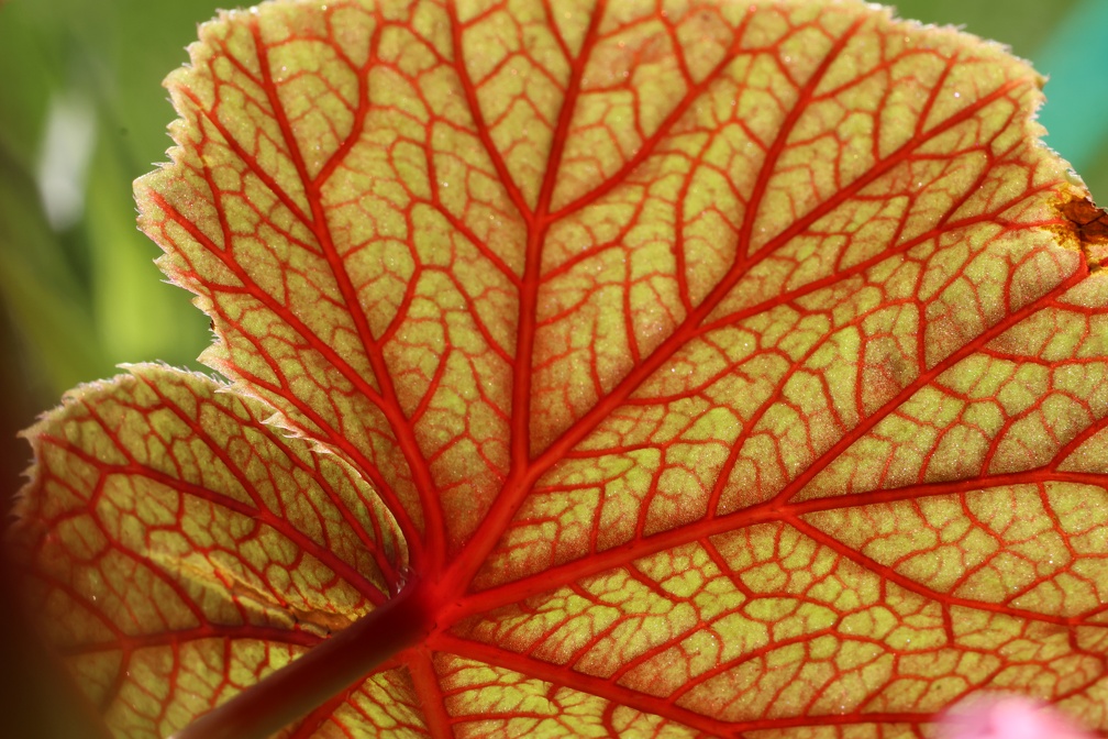 P1040087