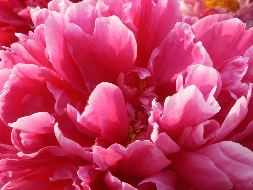 P1040087