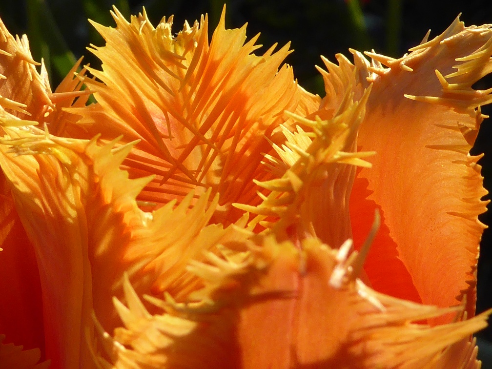 P1040087